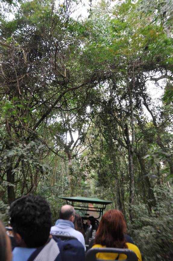 Andando de trenzinho em meio à Mata Atlântica no P.N do Iguaçu (Foz do Iguaçu - PR)